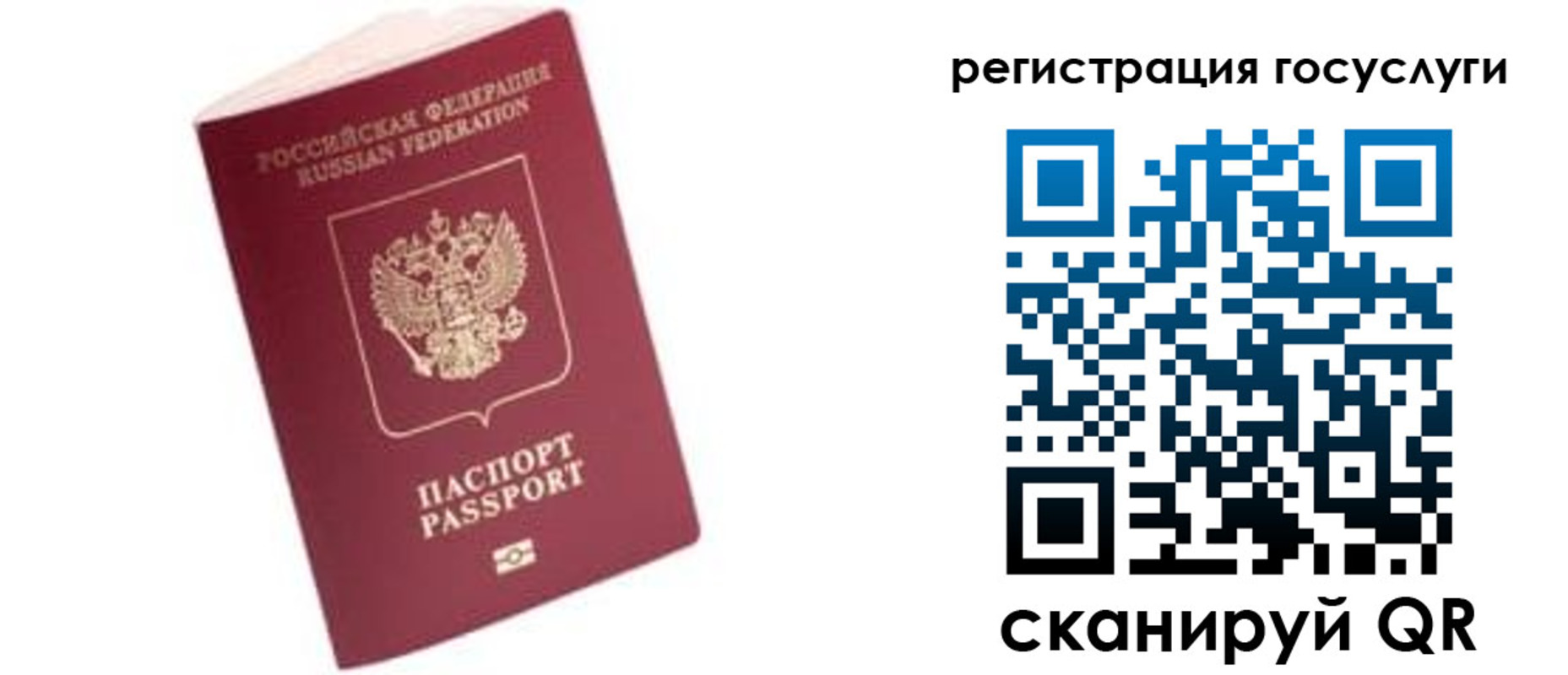 прописка поиск в Бердске